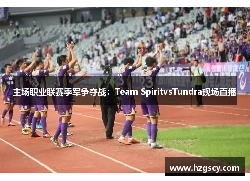 主场职业联赛季军争夺战：Team SpiritvsTundra现场直播